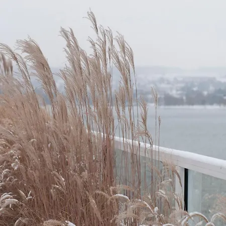 Riva - Am Bodensee 5* 콘스탄츠