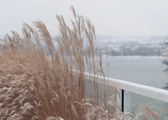 Riva - Am Bodensee 5* Constance